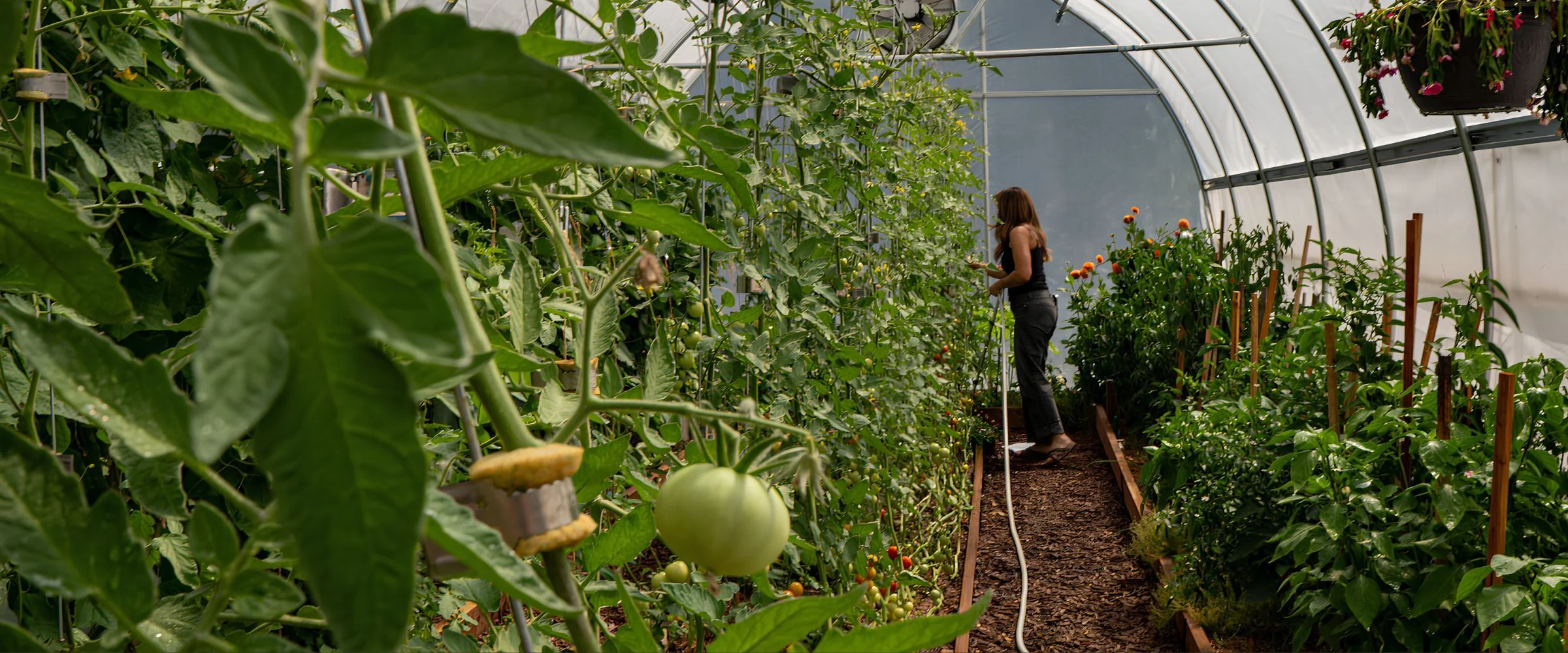 Engineered for the Modern Grower