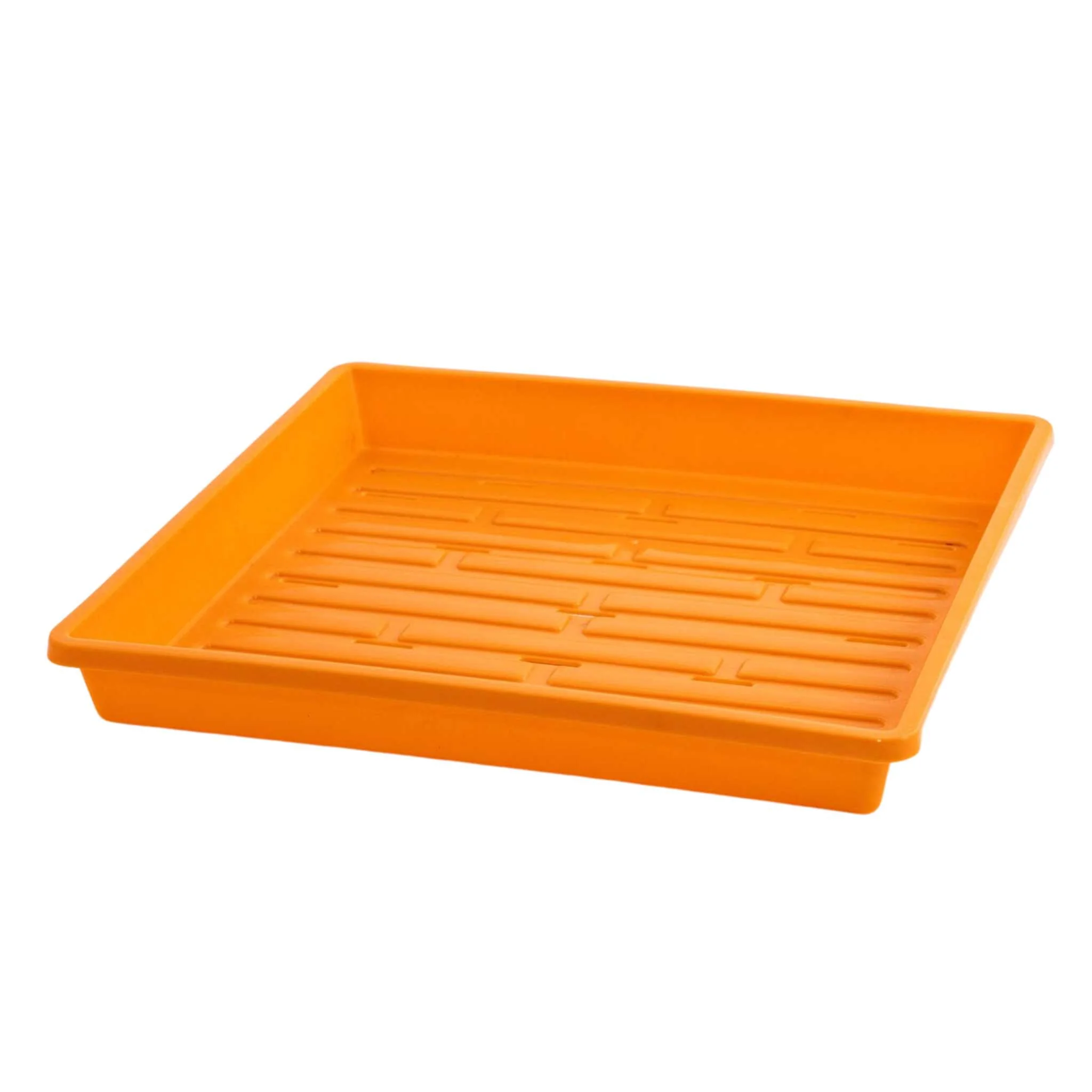 1010 Extra Strength Shallow Seed Trays - Image 9
