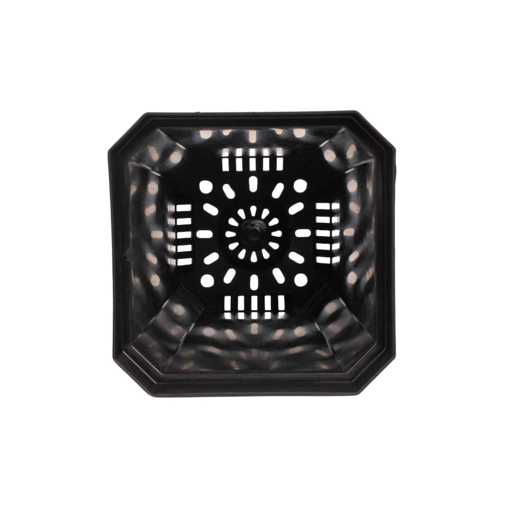 5" Nursery Pots with Insert Tray - Image 7