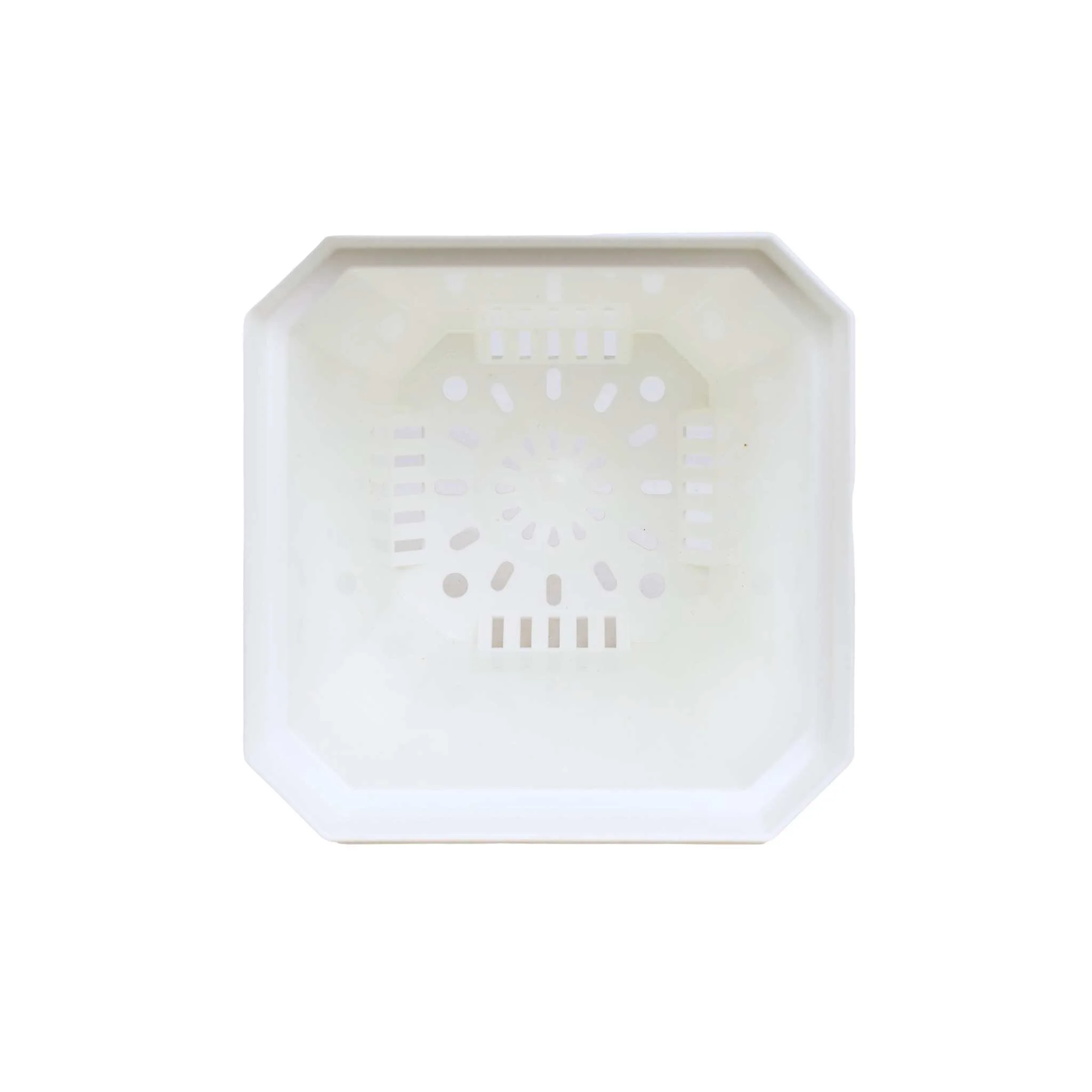 5" Nursery Pots with Insert Tray - Image 11