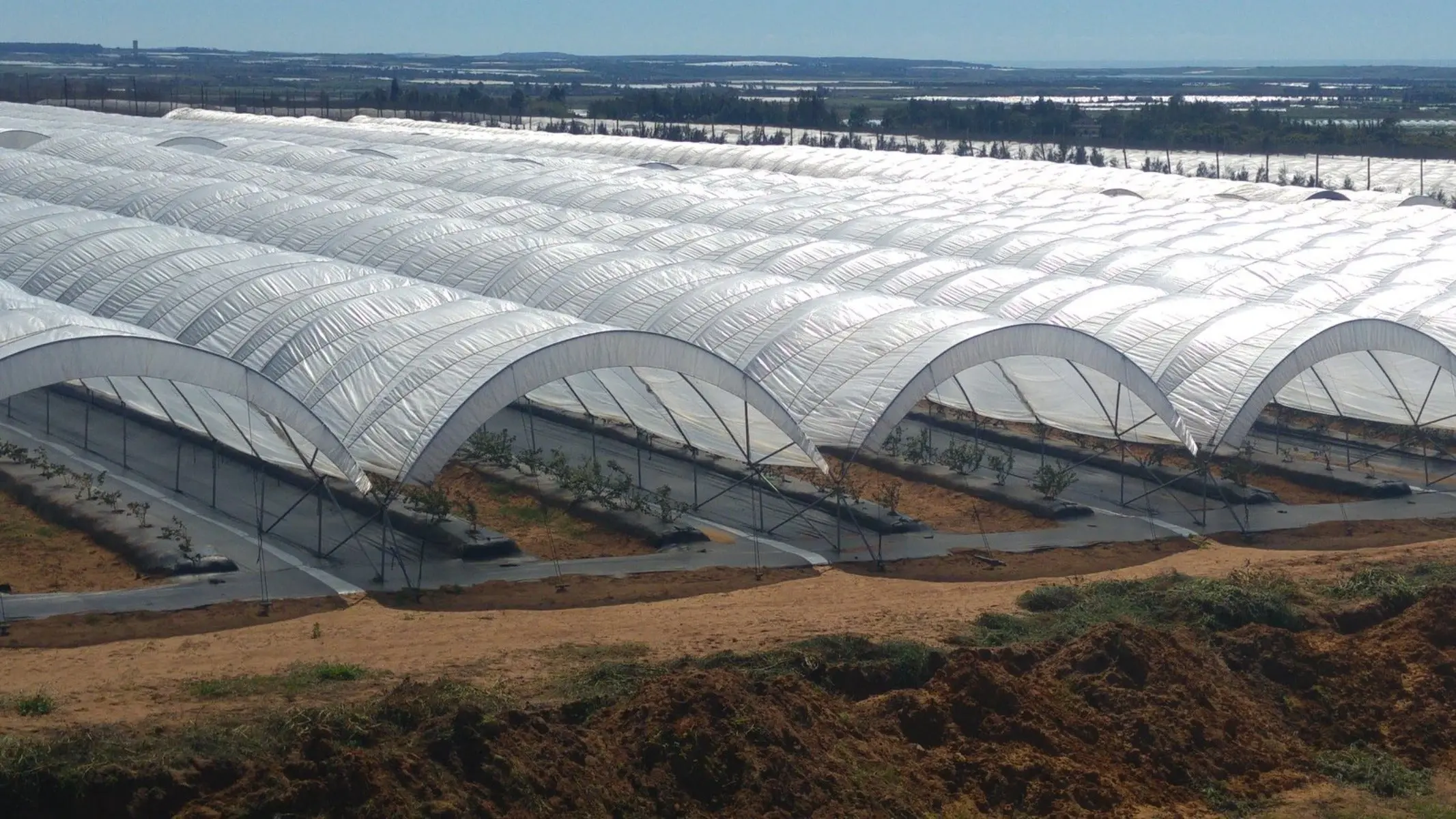 Greenhouse Woven Plastic 11 mil- Solarig 182 - Image 7